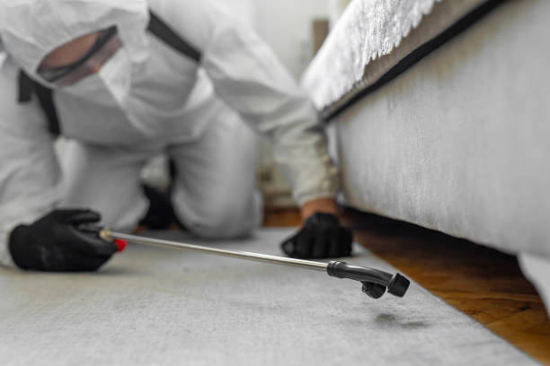 Professional Pest Control technician working in Rutherford County County, TN